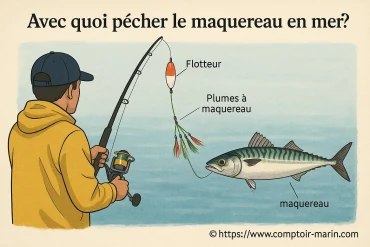 Avec quoi pêcher le maquereau en mer ?