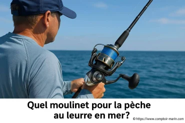 Quel moulinet choisir pour la pêche au leurre en mer ?