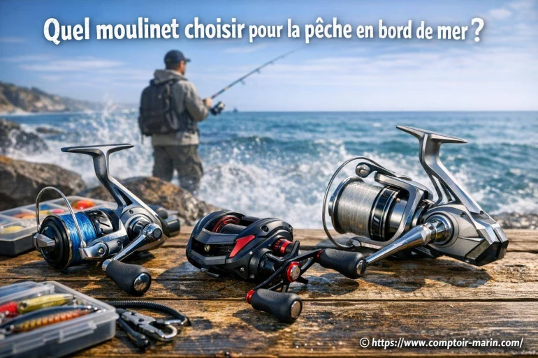 Quel moulinet choisir pour la pêche en bord de mer ?