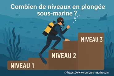 Combien de niveaux en plongée sous-marine existe-t-il ?