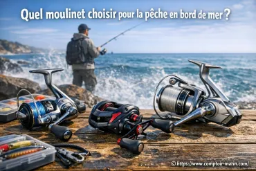 Quel moulinet choisir pour la pêche en bord de mer ?